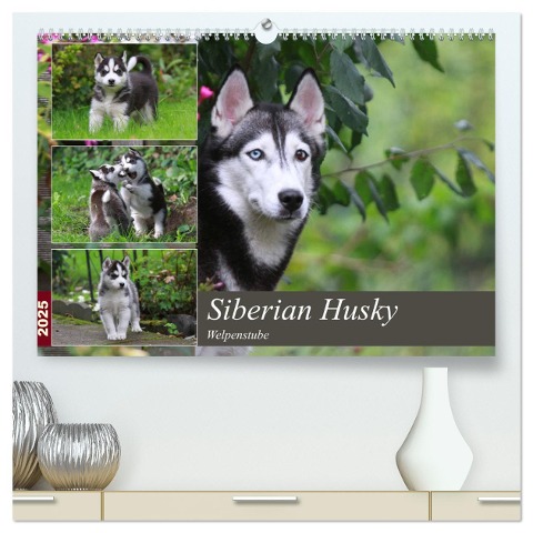 Siberian Husky - Welpenstube (hochwertiger Premium Wandkalender 2025 DIN A2 quer), Kunstdruck in Hochglanz - Barbara Mielewczyk