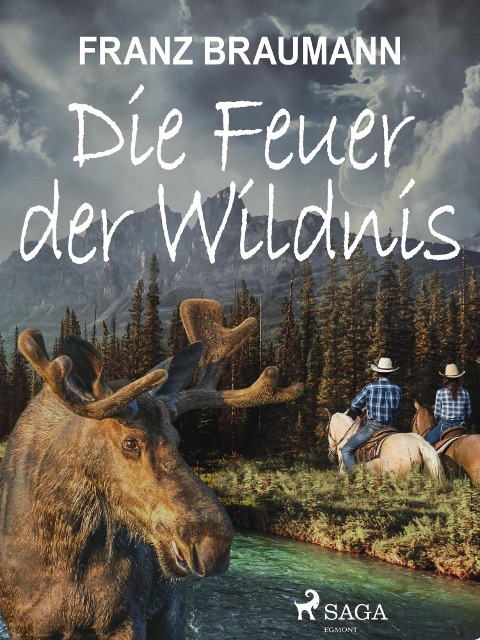 Die Feuer der Wildnis - Franz Braumann