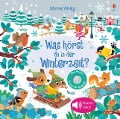 Cover-Bild zum Titel 'Was hörst du in der Winterzeit?' von 'Sam Taplin'
