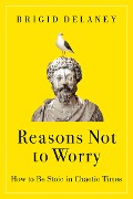 Cover-Bild zum Titel 'Reasons Not to Worry' von 'Brigid Delaney'