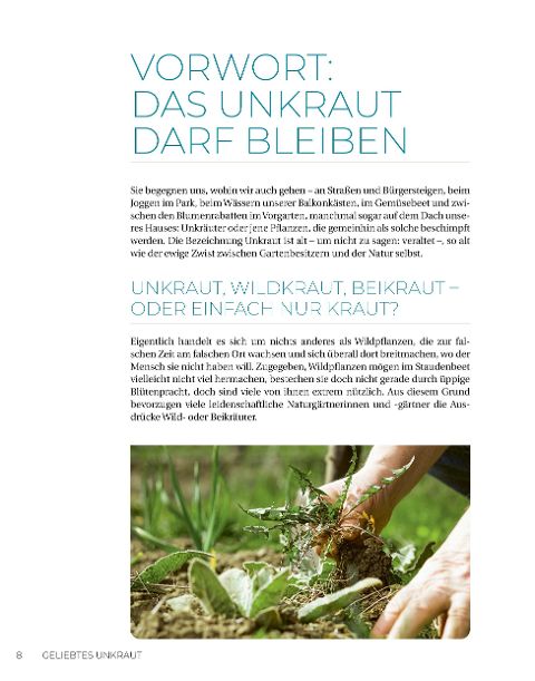 InsideView 13