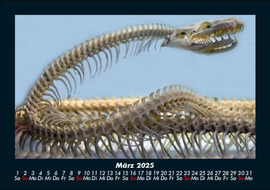 InsideView 7
