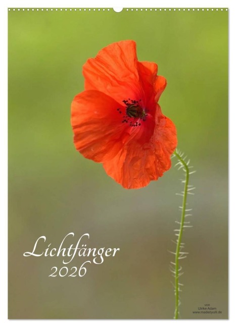 Lichtfänger (Wandkalender 2026 DIN A2 hoch), CALVENDO Monatskalender - Ulrike Adam