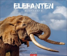 Cover-Bild zum Titel 'Elefanten Kalender 2026' von ''