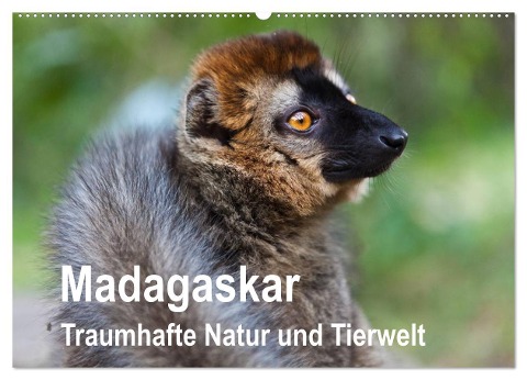 Madagaskar. Traumhafte Natur und Tierwelt (Wandkalender 2024 DIN A2 quer), CALVENDO Monatskalender - Sabine Reuke
