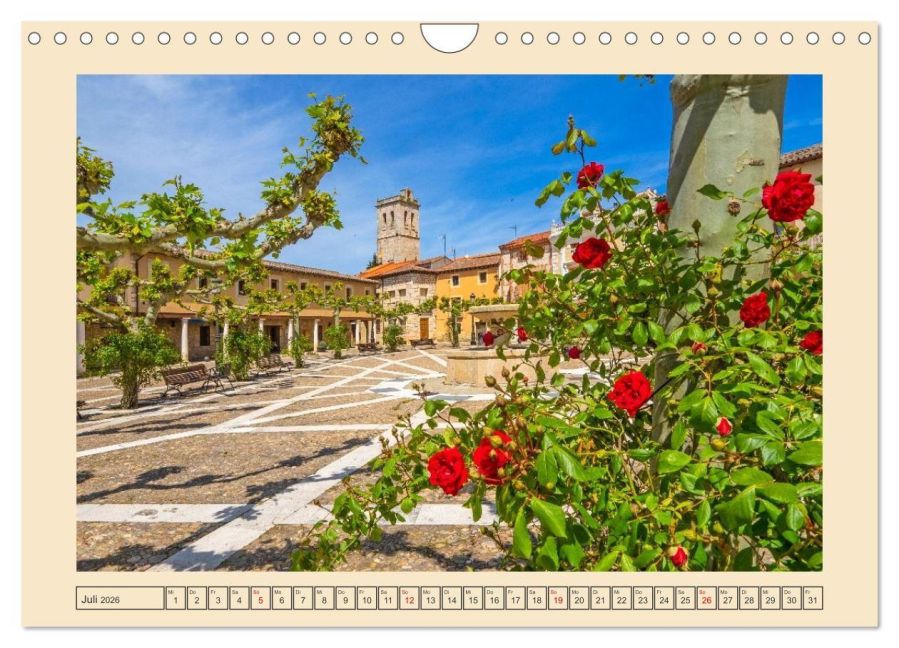 InsideView 12