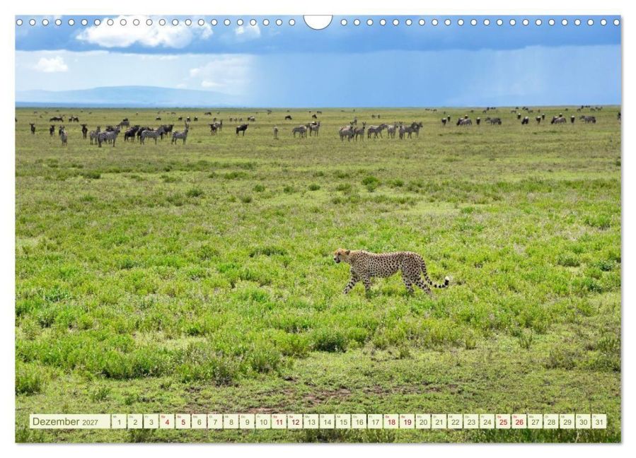 InsideView 4