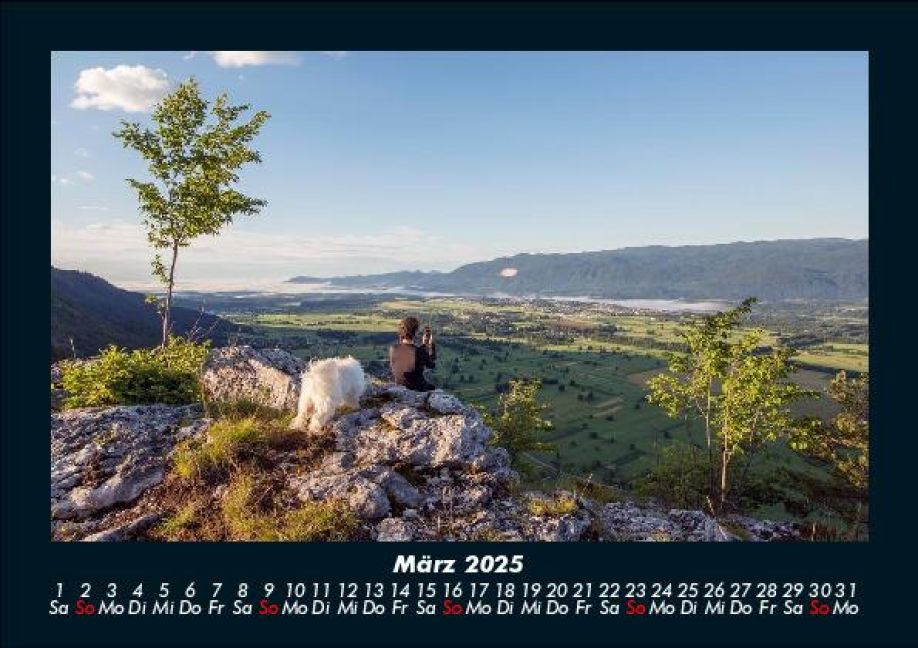 InsideView 7