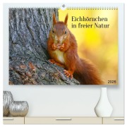 Cover-Bild zum Titel 'Eichhörnchen in freier Natur (hochwertiger Premium Wandkalender 2026 DIN A2 quer), Kunstdruck in Hochglanz' von 'SchnelleWelten SchnelleWelten'