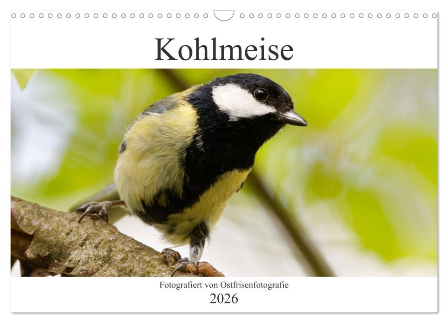 Kohlmeise - Fotografiert von Ostfriesenfotografie (Wandkalender 2026 DIN A3 quer), CALVENDO Monatskalender - Christina Betten - Ostfriesenfotografie