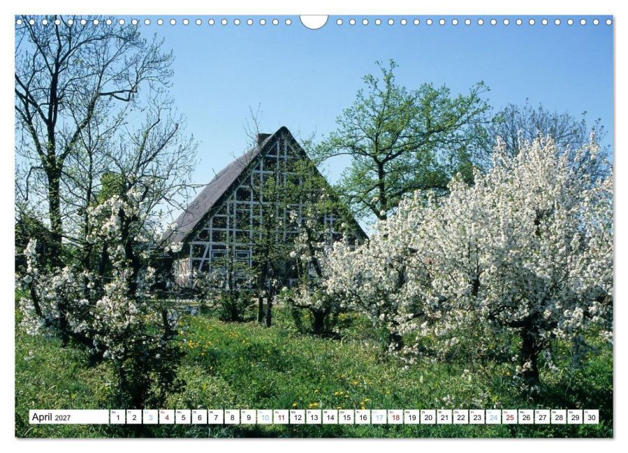 InsideView 9