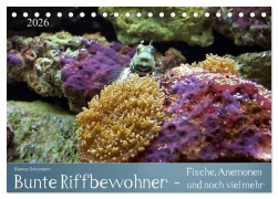 Cover-Bild zum Titel 'Bunte Riffbewohner - Fische, Anemonen und noch viel mehr (Tischkalender 2026 DIN A5 quer), CALVENDO Monatskalender' von 'Bianca Schumann'
