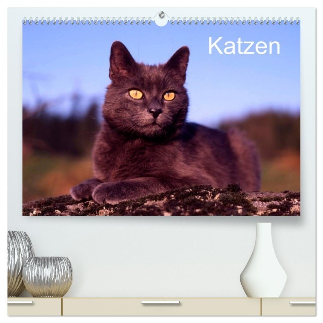 Katzen (hochwertiger Premium Wandkalender 2026 DIN A2 quer), Kunstdruck in Hochglanz - Mcphoto Werner Layer
