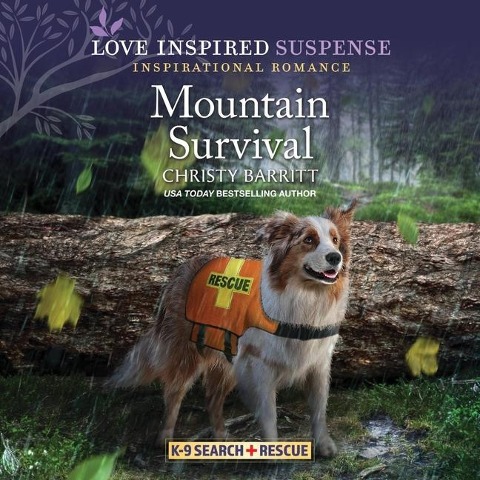 Mountain Survival Lib/E - Christy Barritt