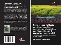 Cover-Bild zum Titel 'Competenze richieste dagli insegnanti di educazione informatica per l'acquisizione di competenze sostenibili' von 'Samuel Okechukwu Nnaji'