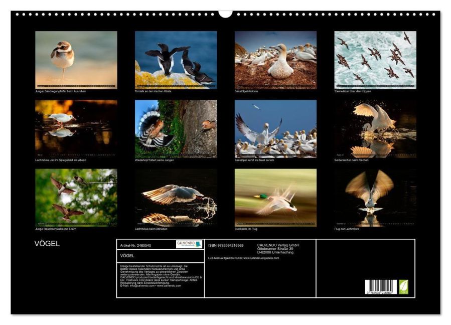 InsideView 5