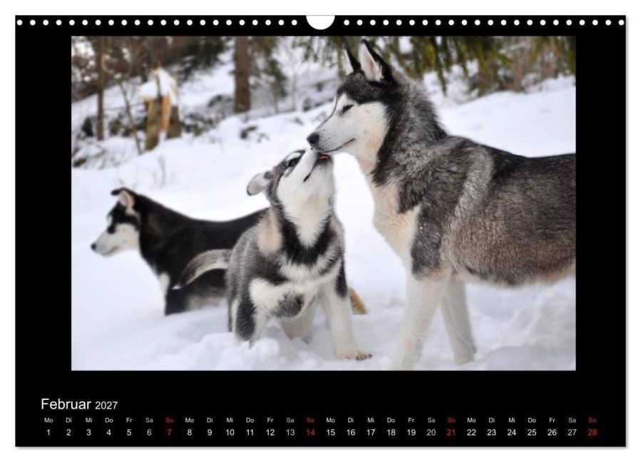 InsideView 7