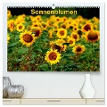Sonnenblumen (hochwertiger Premium Wandkalender 2024 DIN A2 quer), Kunstdruck in Hochglanz - Dorothea Schulz