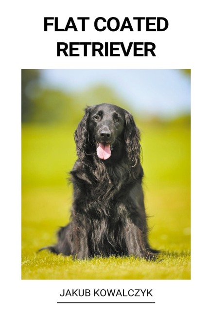 Flat Coated Retriever - Jakub Kowalczyk