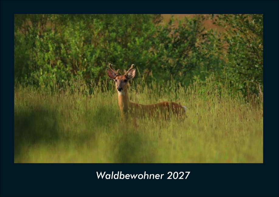 Waldbewohner 2027 Fotokalender DIN A4 - Tobias Schmitt, Kevin Heber