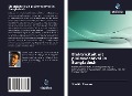Cover-Bild zum Titel 'Elektriciteit uit pluimveeafval in Bangladesh' von 'Sheikh Zaman'