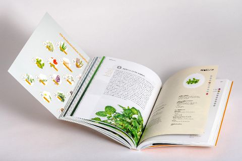 InsideView 8