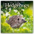 Hedgehogs - Igel 2024 - Carousel Calendar