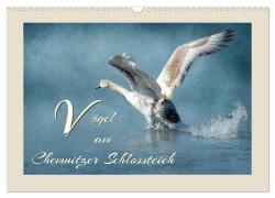 Vögel am Chemnitzer Schlossteich (Wandkalender 2026 DIN A3 quer), CALVENDO Monatskalender - Heike Hultsch