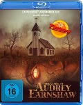 Cover-Bild zum Titel 'The Curse of Audrey Earnshaw' von 'Thomas Robert Lee, Thilo Schaller, Bryan Buss'