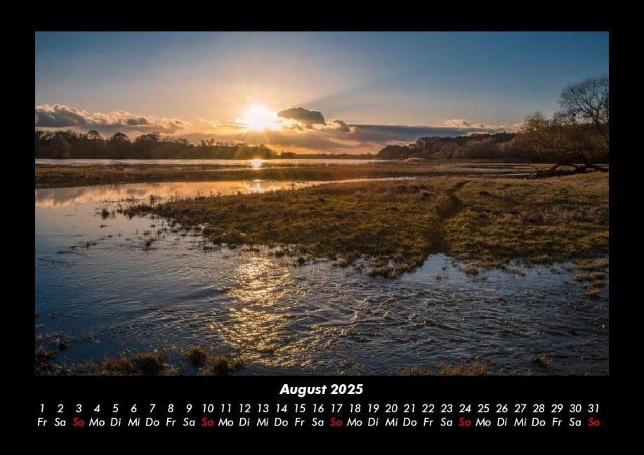 InsideView 12