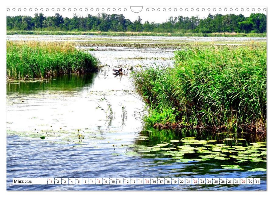 InsideView 8