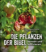 Cover-Bild zum Titel 'Die Pflanzen der Bibel' von 'Wolfgang Kawollek, Henning Falk'