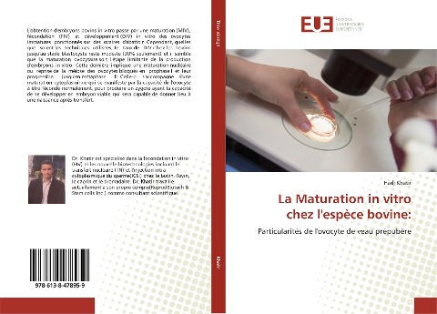 La Maturation in vitro chez l'espèce bovine: - Hadj Khatir
