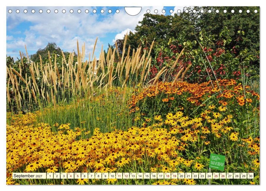 InsideView 14
