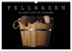 Cover-Bild zum Titel 'Fellnasen. Die bunte Welt der Farbratten. (Wandkalender 2026 DIN A3 quer), CALVENDO Monatskalender' von 'Thorsten Nilson'