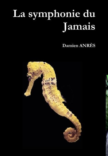 La symphonie du Jamais - Damien Anrès
