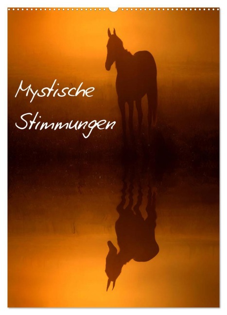 Mystische Stimmungen (Wandkalender 2026 DIN A2 hoch), CALVENDO Monatskalender - Lars Tuchel