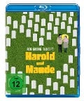 Cover-Bild zum Titel 'Harold und Maude' von 'Colin Higgins, Cat Stevens'