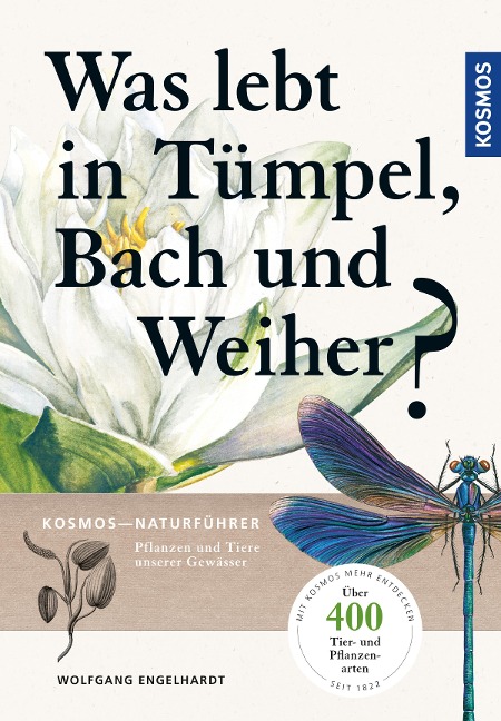 Was lebt in Tümpel, Bach und Weiher - Wolfgang Engelhardt, Peter Martin, Klaus Rehfeld