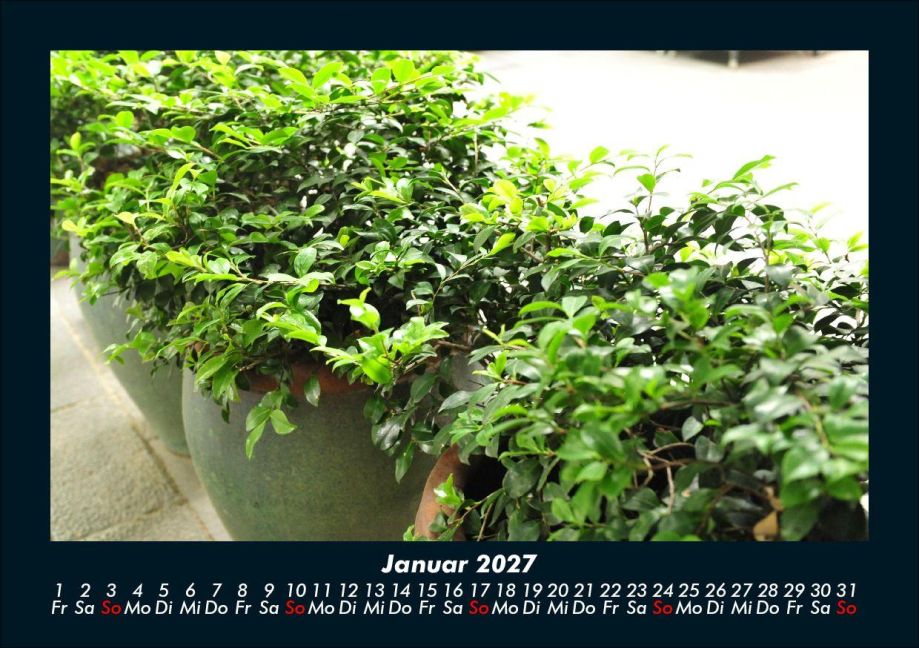 InsideView 5