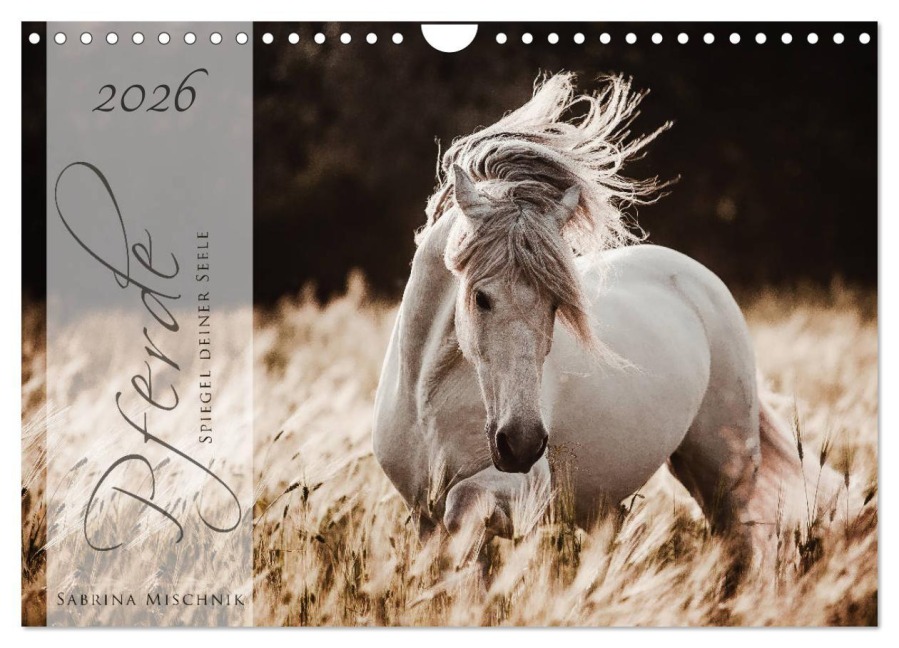 Pferde - Spiegel deiner Seele (Wandkalender 2026 DIN A4 quer), CALVENDO Monatskalender - Sabrina Mischnik