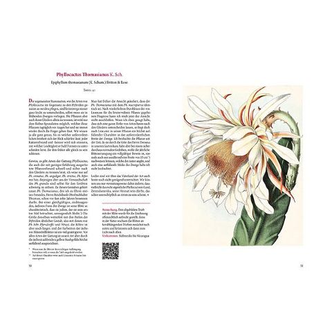 InsideView 8