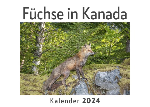Füchse in Kanada (Wandkalender 2024, Kalender DIN A4 quer, Monatskalender im Querformat mit Kalendarium, Das perfekte Geschenk) - Anna Müller