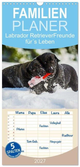 Familienplaner 2027 - Labrador Retriever - Freunde für¿s Leben mit 5 Spalten (Wandkalender, 21 x 45 cm) CALVENDO - Sigrid Starick