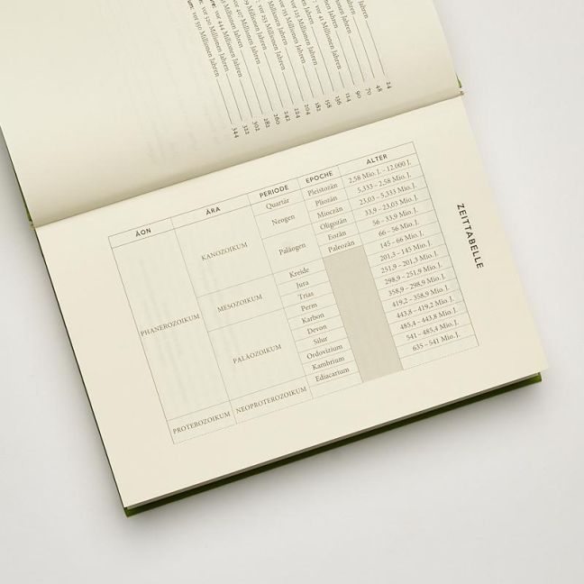 InsideView 5