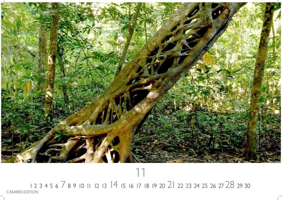 InsideView 11