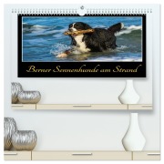 Cover-Bild zum Titel 'Berner Sennenhunde am Strand (hochwertiger Premium Wandkalender 2026 DIN A2 quer), Kunstdruck in Hochglanz' von 'Sigrid Starick'