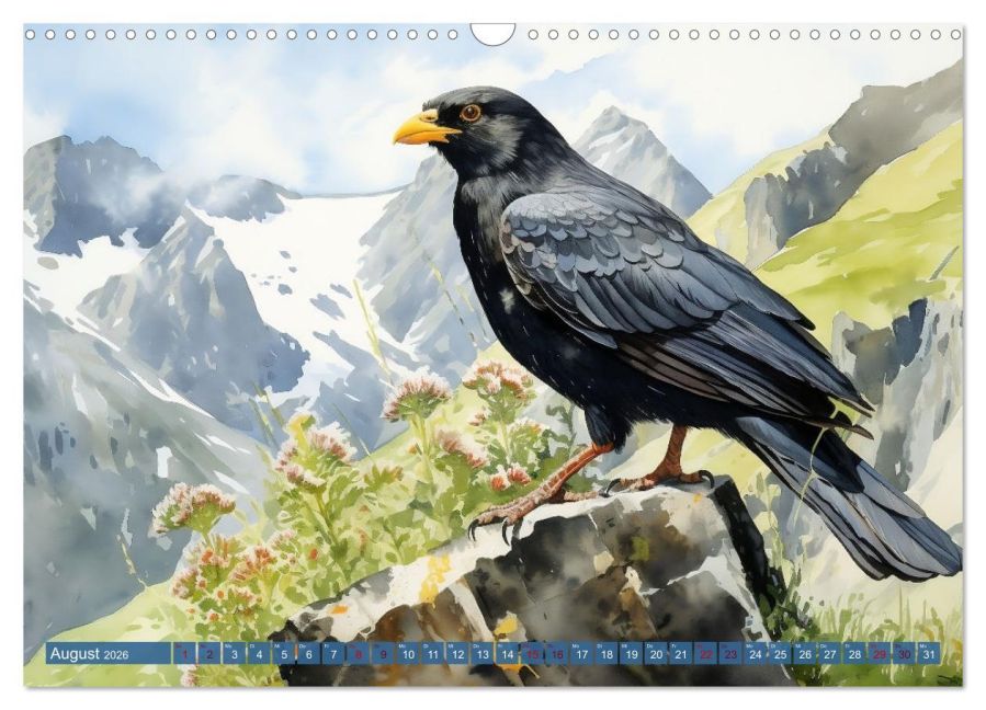 InsideView 13