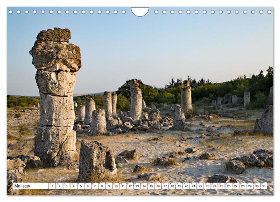 InsideView 10