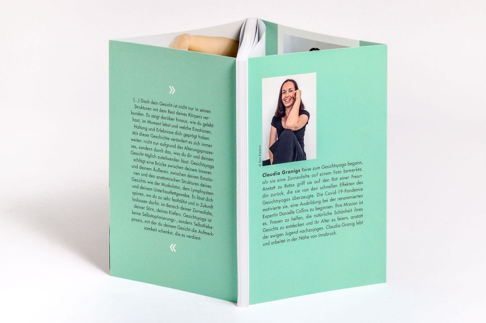 InsideView 3